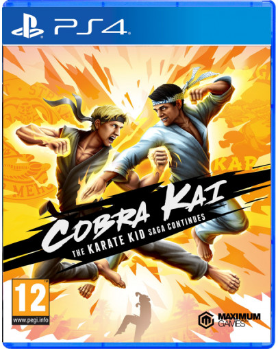 Cobra Kai The Karate Kid Saga Continues (PS4)