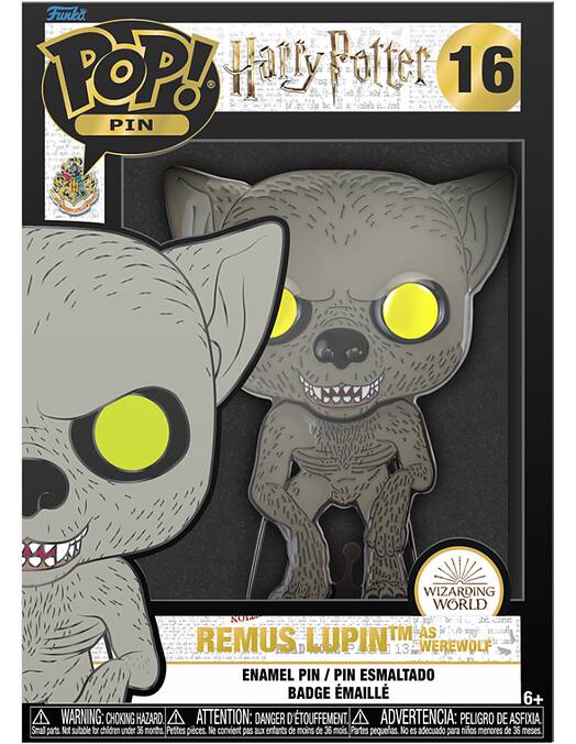 Funko Pop Pin Harry Potter Remus Lupin