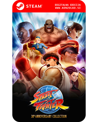 Street Fighter 30th Anniversary Collection - Steam koda brez škatlice (WINDOWS PC)