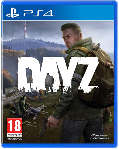 DayZ (PS4)