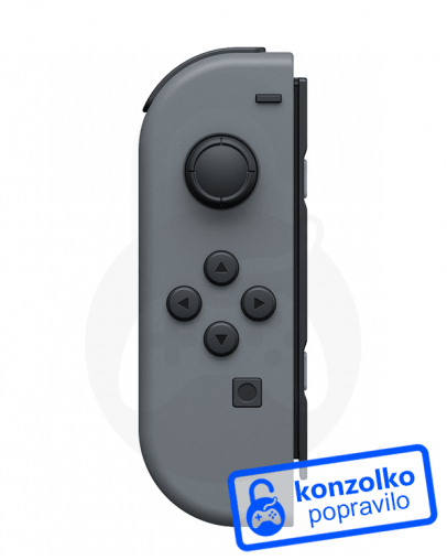 Nintendo Switch Joy-Con servis
