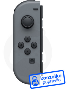 Nintendo Switch Joy-Con servis